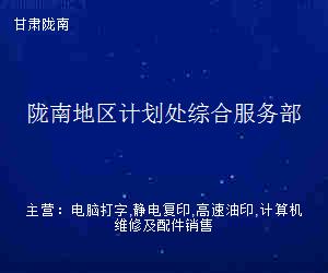 隴南地區計劃處綜合服務部 專業高效打字復印服務